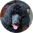 Doc Moore profile picture
